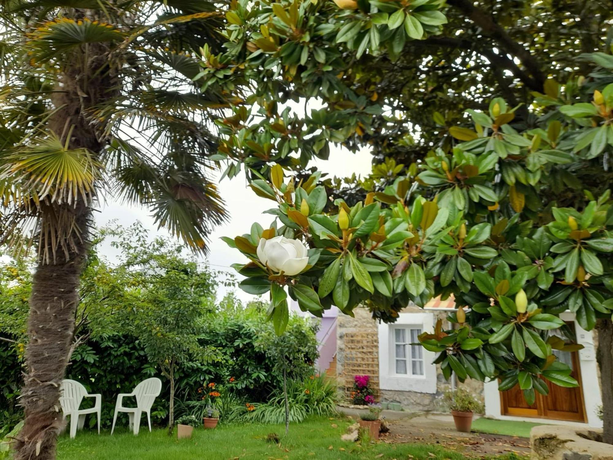 Casamarietacantabria Reocín Extérieur photo